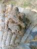 Plastic/Resin Bird Bath with Frogs and Bird Stake - 4