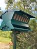 Metal Bird Feeder with Squirrel Baffle - 6