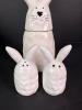 Whimsical Cupboard Bunny Canister with Bunny Salt and Pepper Shakers - 2