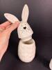 Whimsical Cupboard Bunny Canister with Bunny Salt and Pepper Shakers - 3
