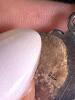 Assorted Silver Jewelry Collection - 6