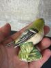 Beswick Goldcrest Porcelain Bird Figurine - 4