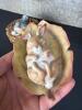 Melco Bluebird Nest and Sleeping Rabbit Figurines - 2