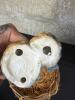Melco Bluebird Nest and Sleeping Rabbit Figurines - 5