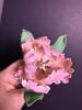 Lenox Parrot Tulip Porcelain and Capodimonte Italian Porcelain Flowers - 5
