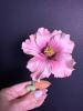 Lenox Parrot Tulip Porcelain and Capodimonte Italian Porcelain Flowers - 6