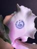 Lenox Parrot Tulip Porcelain and Capodimonte Italian Porcelain Flowers - 10