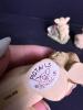 Pig Figurines and Cow Figurine Assortment - 6