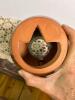 Williamsburg Glazed Earthenware Bird Bottle - 4
