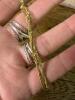 14K Gold Chain Necklace Made in Italy - 5