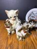 Pretty Kitty Collection - 2