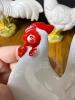 Porcelain Chicken Figurines in the Manner of Vinton and Japan - 6