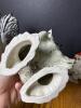 Porcelain Rooster Figurines in the Manner of Royal Japan - 6