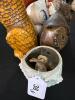 Owl Collection - 5