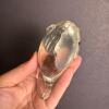 Glass Fish Paperweight and Blue Glass Fish Dish - 7
