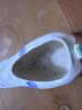 Ceramic Mallard Duck Planter - 4