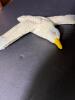 Seagull Wall Plaques by Leisure Craft Industries - 2