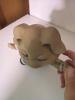 Ceramic Girl Figurine and Pig Figurine - 10