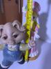 Ceramic Girl Figurine and Pig Figurine - 11