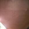Upholstered Settee in the Federal Style - 5