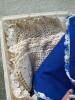 Assorted Crochet and Embroidered Doilies and Linens - 7