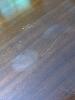 Mahogany Drop-Leaf Table in Federal Style with Drawer - 9