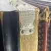 Empress Accord&eacute;on Made in Germany Extra Broad Reed Accordion - 4