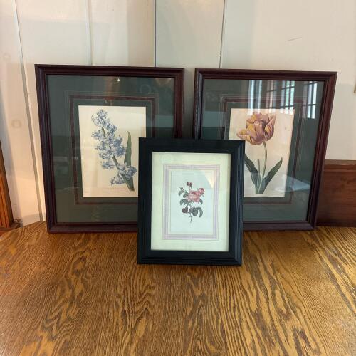 Trio of Framed Floral Botanical Prints