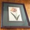 Trio of Framed Floral Botanical Prints - 4
