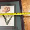 Trio of Framed Floral Botanical Prints - 12