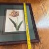 Trio of Framed Floral Botanical Prints - 13