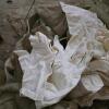 Assorted White and Khaki Fabric Clothing and Accessories - 4