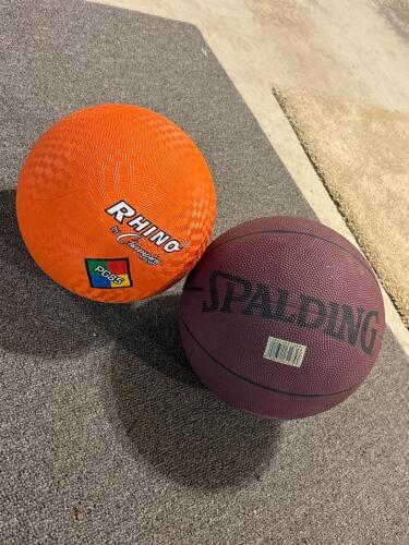 Rhino Champion Sports Ball and Spalding Space Jam Basketball