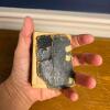 Jenkins's Vest-Pocket Lexicon Antique Miniature Dictionary - 4