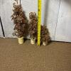 Trio of Gold Pipe Cleaner Tabletop Trees - 4