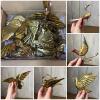 Assorted Bird Ornaments in Folk Art and Metallic Styles