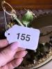 Floral Tole-Style Hanging Chandelier With Shade - 7