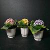 Jeanne Reed's Ltd Porcelain Flower Arrangements - 2