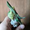 Pair of Capodimonte-Style Porcelain Flower Sprays - 3