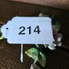 Pair of Capodimonte-Style Porcelain Flower Sprays - 4