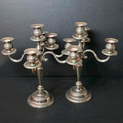 Pair of Silver-Toned Five-Light Candelabra in Classical Style