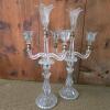 Pair of Glass and Brass Tulip-Form Candelabra