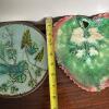 Majolica-Style Leaf and Botanical Motif Plates - 9