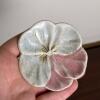 Trio of Floral Petal-Shaped Ceramic Trinket Dishes - 4