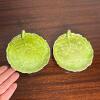 Pair of Royal Bayreuth Bavaria Green Leaf Dishes