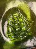 Two Blown Glass Green Bottles - 2