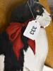 Folk-Art Style Painted Wooden Cat Plaque with Red Bow - 8