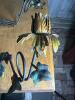 Pair of Wrought Iron Floral-Style Wall Sconces - 2