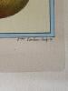 Pomona Gallica Botanical Print - 5