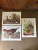 Audubon Bird Prints Set of Three